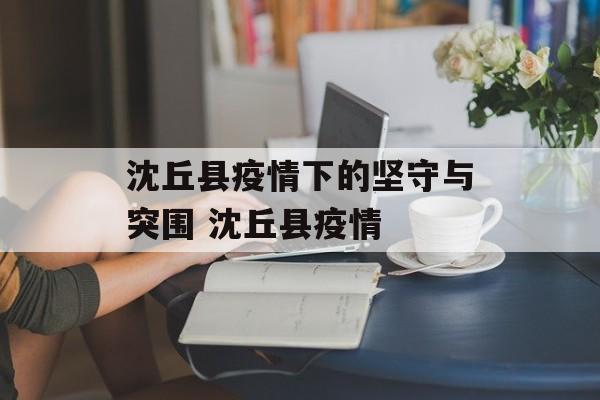 沈丘县疫情下的坚守与突围 沈丘县疫情