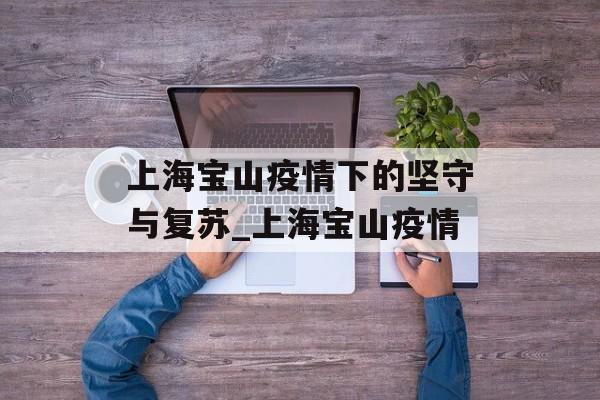 上海宝山疫情下的坚守与复苏_上海宝山疫情