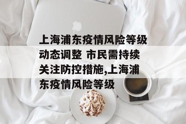 上海浦东疫情风险等级动态调整 市民需持续关注防控措施,上海浦东疫情风险等级