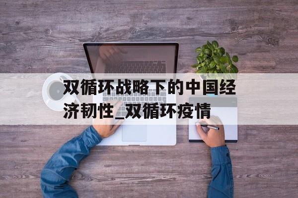 双循环战略下的中国经济韧性_双循环疫情