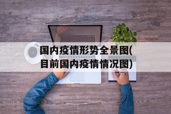 国内疫情形势全景图(目前国内疫情情况图)
