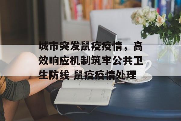 城市突发鼠疫疫情，高效响应机制筑牢公共卫生防线 鼠疫疫情处理