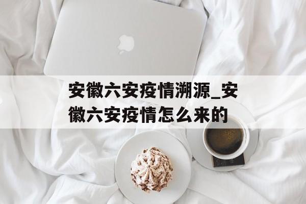 安徽六安疫情溯源_安徽六安疫情怎么来的