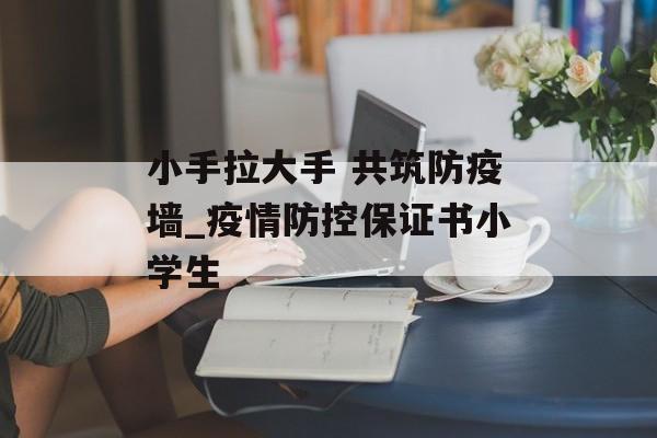 小手拉大手 共筑防疫墙_疫情防控保证书小学生