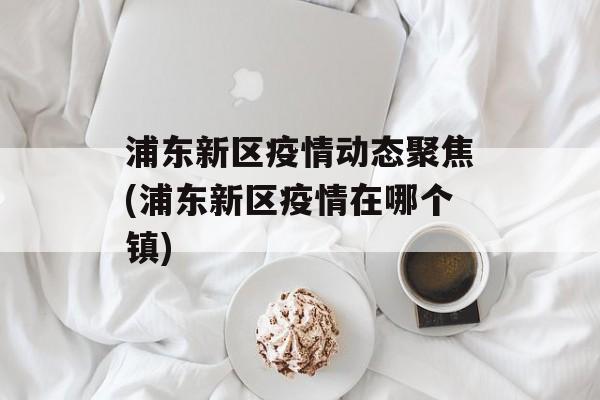 浦东新区疫情动态聚焦(浦东新区疫情在哪个镇)