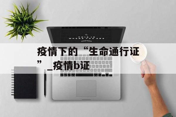 疫情下的“生命通行证”_疫情b证