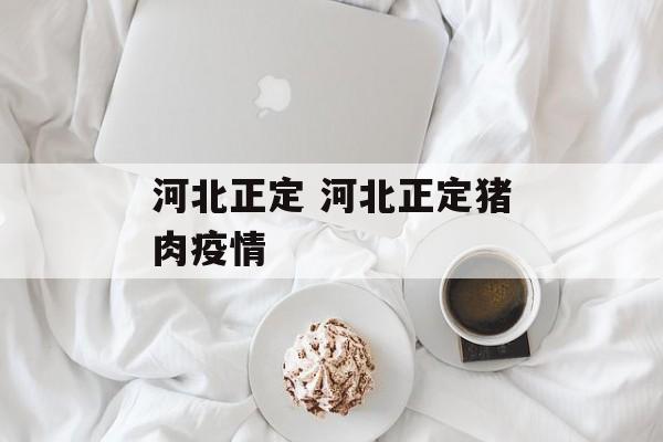 河北正定 河北正定猪肉疫情