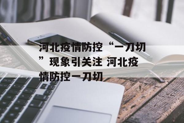 河北疫情防控“一刀切”现象引关注 河北疫情防控一刀切