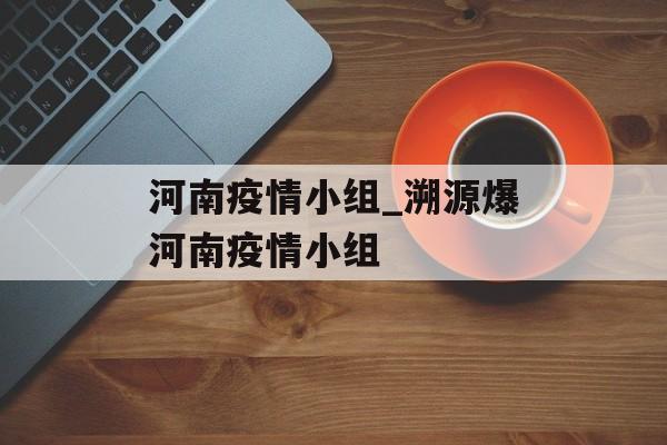 河南疫情小组_溯源爆河南疫情小组