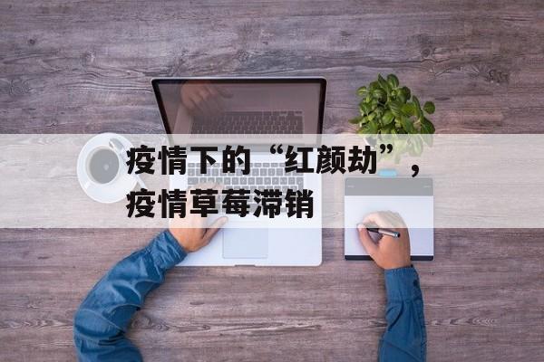 疫情下的“红颜劫”,疫情草莓滞销