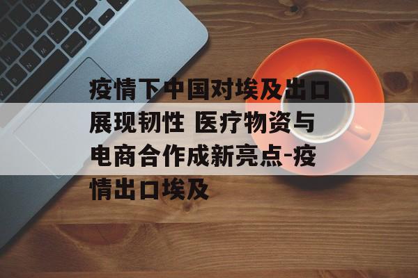 疫情下中国对埃及出口展现韧性 医疗物资与电商合作成新亮点-疫情出口埃及