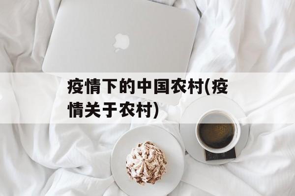 疫情下的中国农村(疫情关于农村)