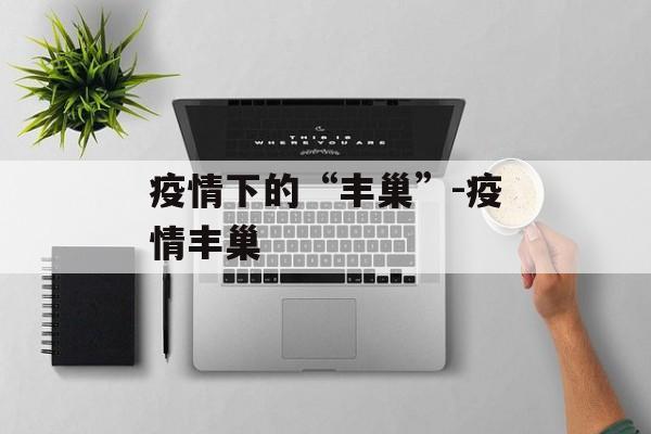 疫情下的“丰巢”-疫情丰巢