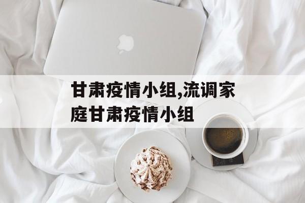 甘肃疫情小组,流调家庭甘肃疫情小组