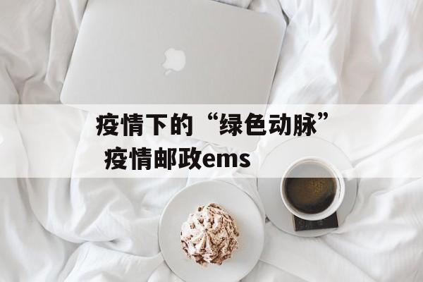 疫情下的“绿色动脉” 疫情邮政ems