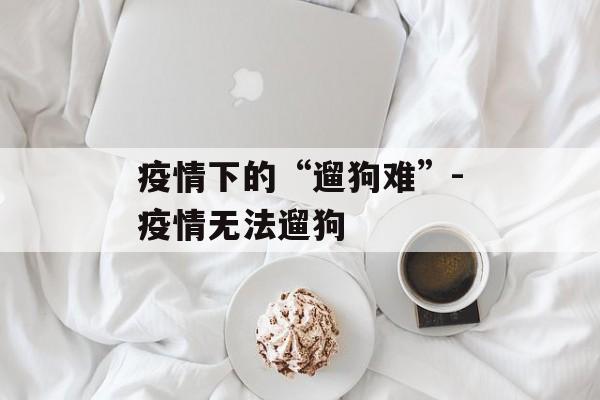 疫情下的“遛狗难”-疫情无法遛狗
