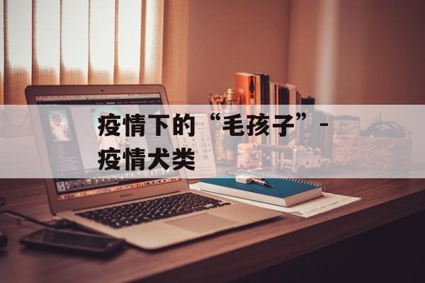 疫情下的“毛孩子”-疫情犬类