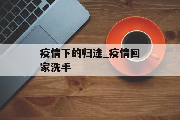 疫情下的归途_疫情回家洗手